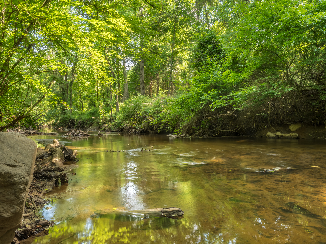 A serene woodland creek with clear water flowing over rocks, surrounded by lush green trees and vegetation.