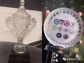 首尔大学篮球,校园篮球运动的璀璨明珠