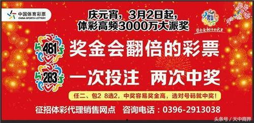泳坛夺金开奖结果,冠军花落谁家？